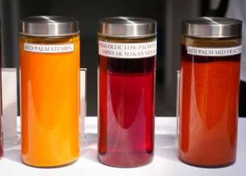 KemenKopUKM Terima DED Minyak Makan Merah