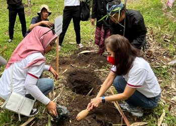 KEHATI dan CIMB Niaga Perluas Pelestarian Bambu Tabah di Lombok Tengah