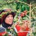 Berkat Pemberdayaan UMKM BRI, Buah Kopi Takengon Aceh sampai ke Amerika Serikat