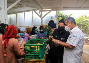 Menteri BUMN Apresiasi Kinerja Holding Ultra Mikro