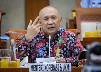 MenKopUKM Sampaikan 26 Rekomendasi Kebijakan di G20