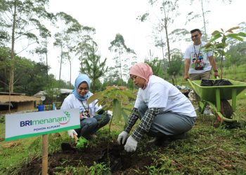 Memberi Makna Indonesia, Simak Sederet Capaian BRI Tebarkan Social Values