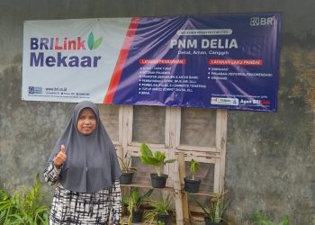 Ibu Muda Ini Buktikan Manfaat Pemberdayaan Holding Ultra Mikro