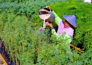 SIG Tingkatkan Penggunaan Bahan Bakar Alternatif dan Ramah Lingkungan