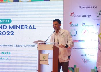 Aspebindo: Perpanjangan Freeport Beri Dampak Bagi Investor Mineral Indonesia