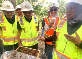 Lahan Pasca Tambang Semen Baturaja Diubah untuk Area Budidaya Lebah Trigona