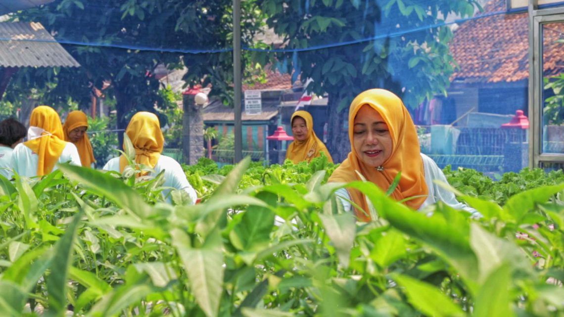 Berkat “BRInita”, Teh Herbal Jadi Produk Unggulan Poktan Bensor Semarang