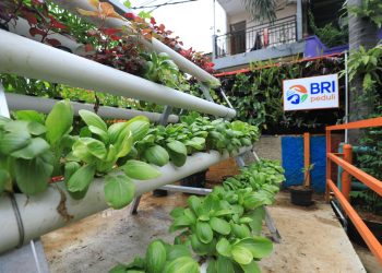 Kampung Palm Eco Green Village Malang Membawa Harapan Baru dengan Program BRInita