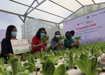 Dorong Pembangunan Berkelanjutan Lewat TJSL, Bank DKI Raih Indonesia Best CSR Award 2024