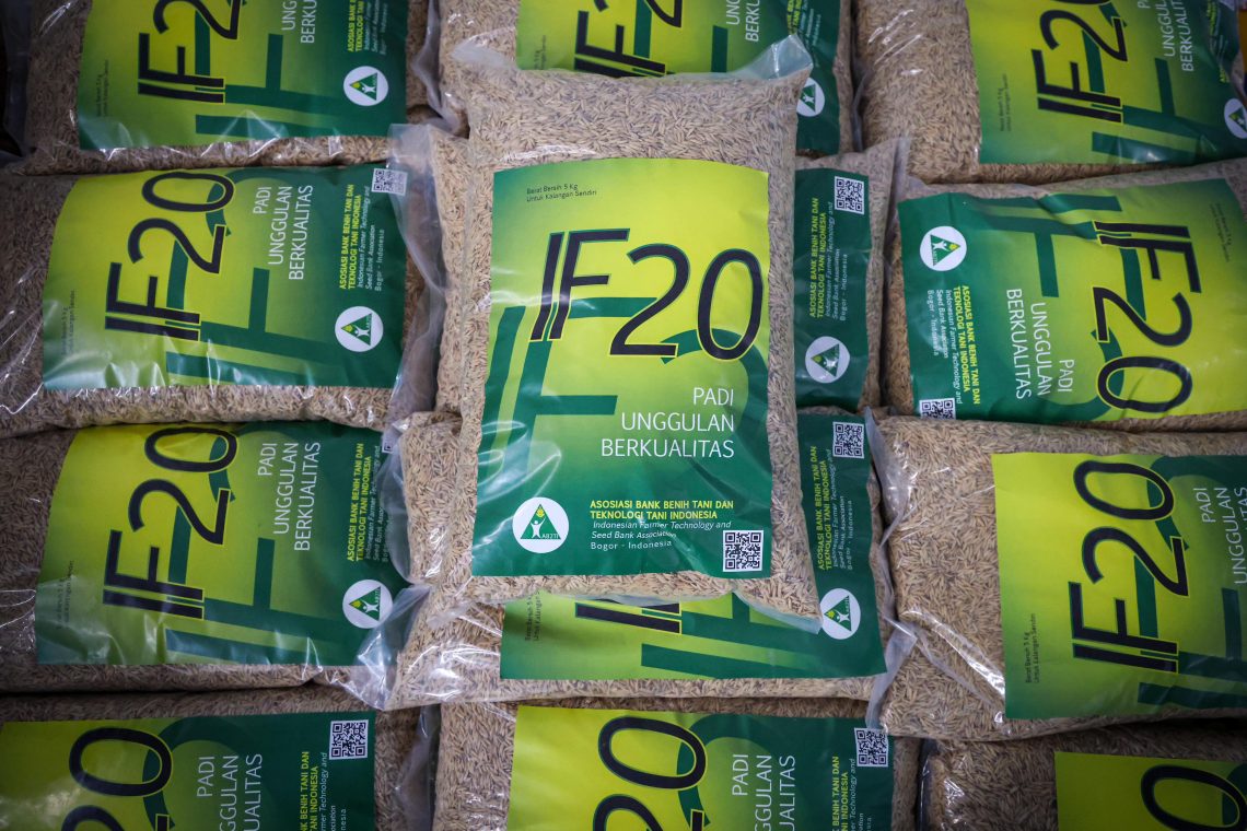 Resmikan Rice Mill Plant, MenKopUKM Dukung Konsolidasi Pengelolaan Hasil Pertanian