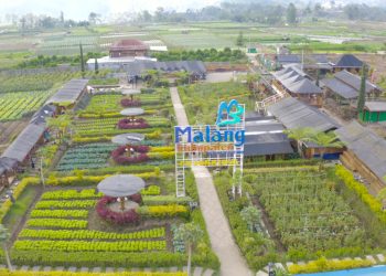 Dorong Pengembangan Ekonomi Desa, Program Desa BRILiaN 2024 Terus Berlanjut