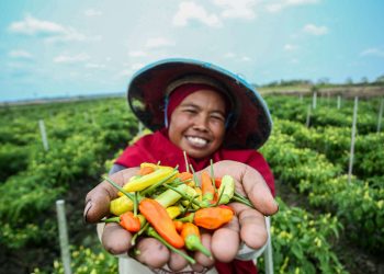 Portofolio Pembiayaan Berkelanjutan BRI Capai Rp764,8 triliun