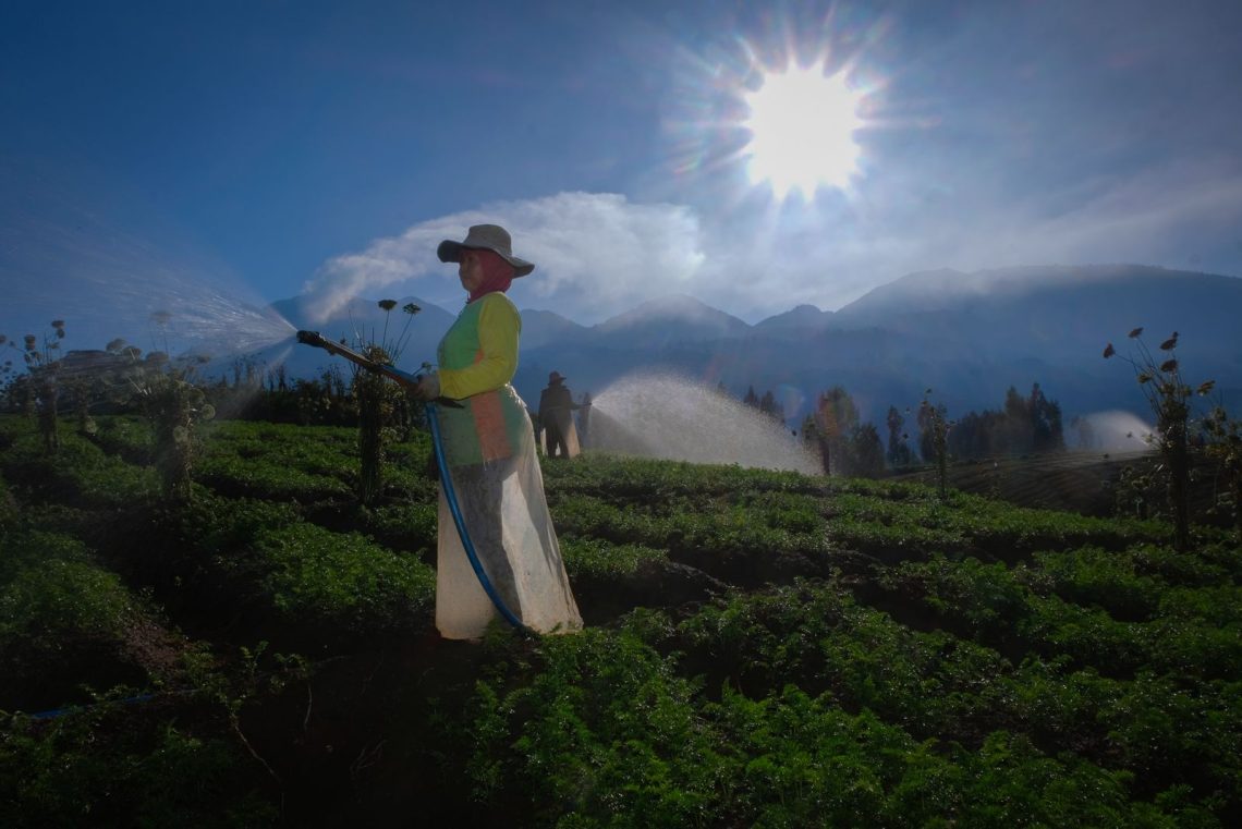 BRI Sukseskan Program Makan Bergizi Gratis