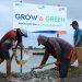 BRI Menanam – Grow & Green, Pulihkan Ekosistem Lingkungan dan Berdayakan Ekonomi