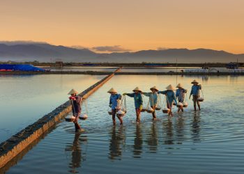 Implementasi Sustainable Finance, Portofolio ESG BRI Tembus Rp842,1 Triliun di Triwulan II 2026