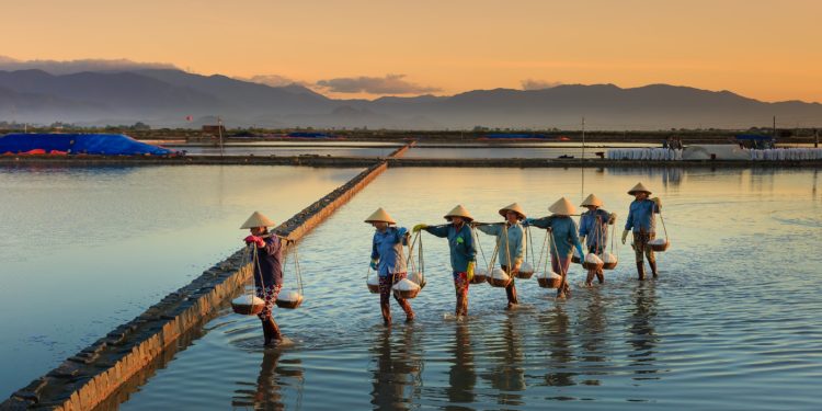 Implementasi Sustainable Finance, Portofolio ESG BRI Tembus Rp842,1 Triliun di Triwulan II 2026