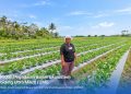 Titik Balik Sang Petani Perempuan: Menyiasati Cuaca, Mengelola Permodalan