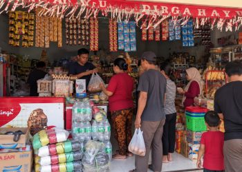 Pilar Inklusi dari Binjai Utara: Kisah Shifa Celluler Perluas Akses dan Literasi Keuangan Lansia