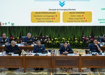 Wamenkeu: Realisasi Anggaran Kesehatan Sebesar Rp164,3 T, Sampai 30 November 2024