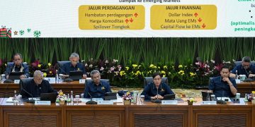 Wamenkeu: Realisasi Anggaran Kesehatan Sebesar Rp164,3 T, Sampai 30 November 2024