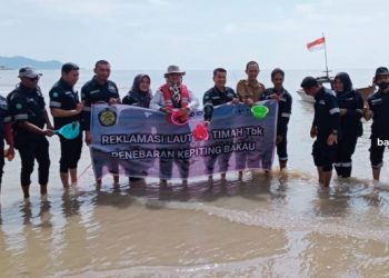 PT Timah Tbk Lakukan Restocking Kepiting di Pulau Kundur