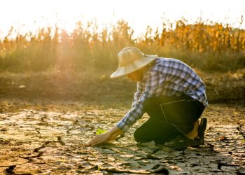 Ini Upaya yang Dilakukan Indonesia Atasi Perubahan Iklim