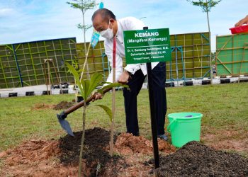 KLHK Lakukan Gerakan Menanam Pohon Serentak di Indonesia