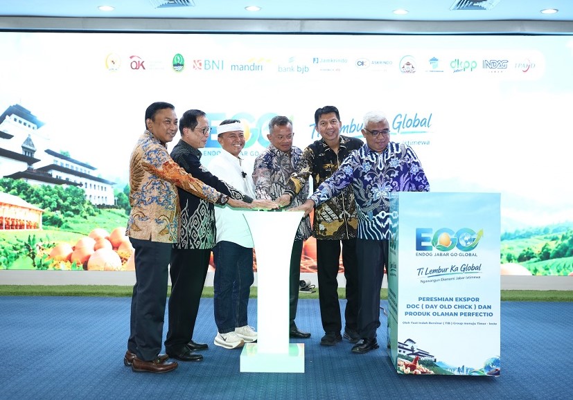 Buka Kredit Rp456,5 Miliar: OJK dan Pemprov Jabar Luncurkan Program EGG bagi Ribuan Peternak