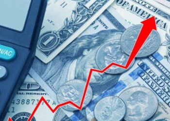 Utang LN Indonesia Triwulan II 2020 Membengkak 5 Persen