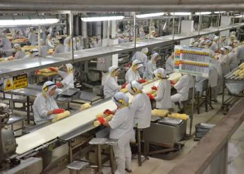 Kinerja Industri Pengolahan Meningkat dalam Fase Ekspansi