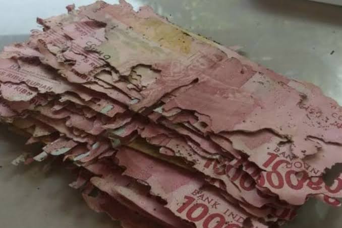 Viral Uang Dimakan Rayap, LPS Imbau Masyarakat untuk Menabung di Bank