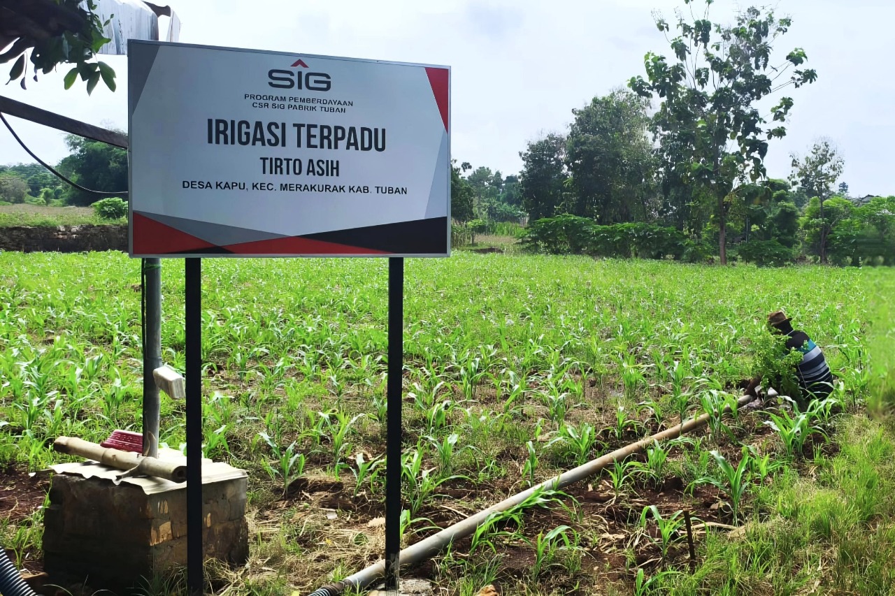 Bantuan Irigasi SIG Bikin Petani di Tuban Bisa Panen Empat Kali dalam Setahun