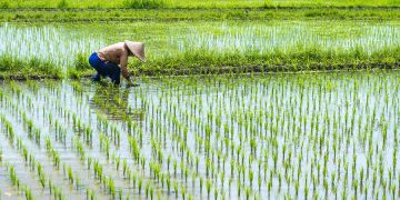 Kementerian Keuangan: Angka Kemiskinan dan Ketimpangan Indonesia Menurun