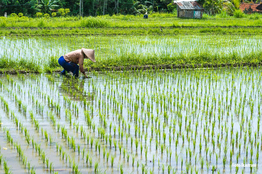 Kementerian Keuangan: Angka Kemiskinan dan Ketimpangan Indonesia Menurun