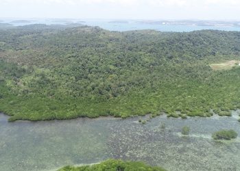 Presiden Joko Widodo Resmikan KEK Tanjung Sauh