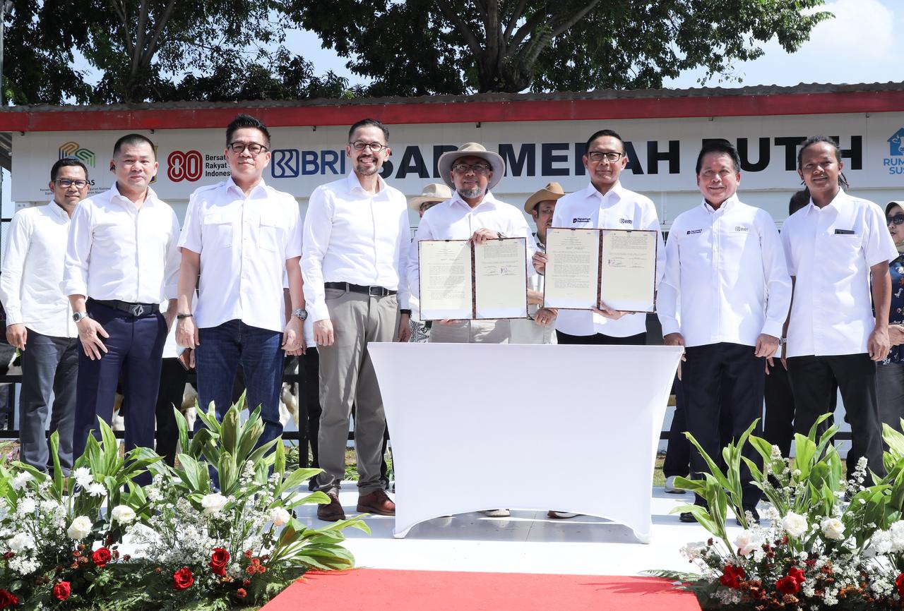 Kolaborasi BRI, Bappenas, dan Moosa Genetics Kembangkan Sapi Merah Putih