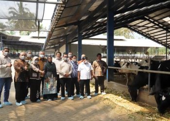 OJK Inisiasi Transformasi Digital Koperasi Sapi Perah, Libatkan ILO dan Kemenkeu