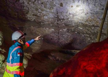 Seni Cadas 44.000 Tahun Tetap Lestari, Indeks Kehati Semen Tonasa Meroket
