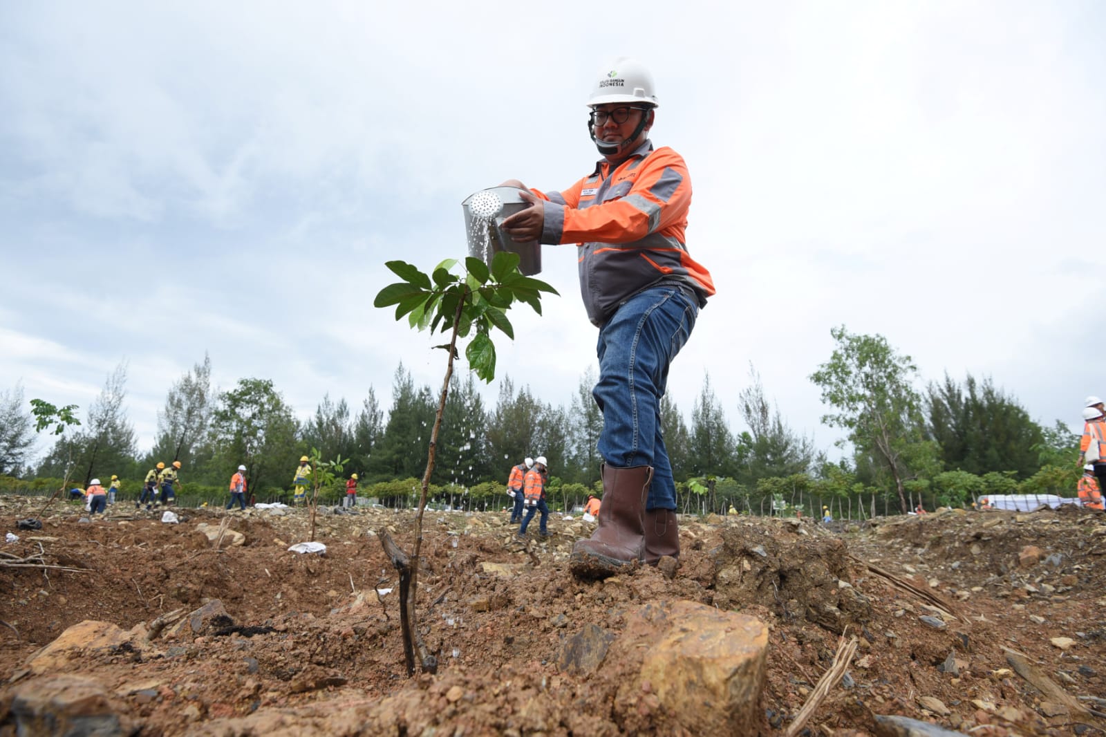 SIG Tanam 13.424 Batang Pohon untuk Perlindungan Keanekaragaman Hayati di Aceh