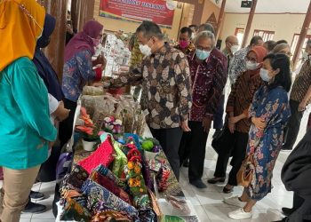 Kemenkeu: Dana Desa Berhasil Dorong Pembangunan dan Pemberdayaan Desa